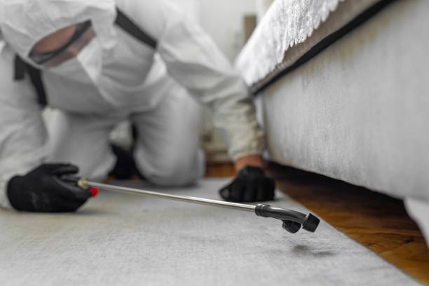 Professional Cockroach Control technician working in Newberry, FL