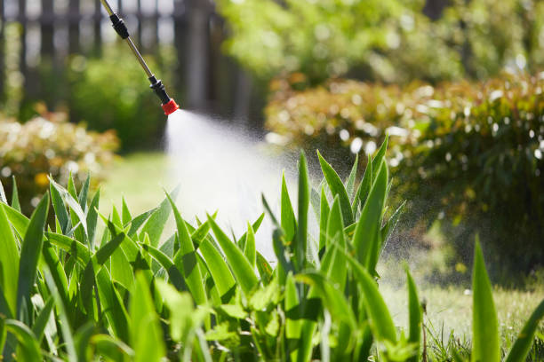 24/7 Emergency Cockroach Control experts in Newberry, FL